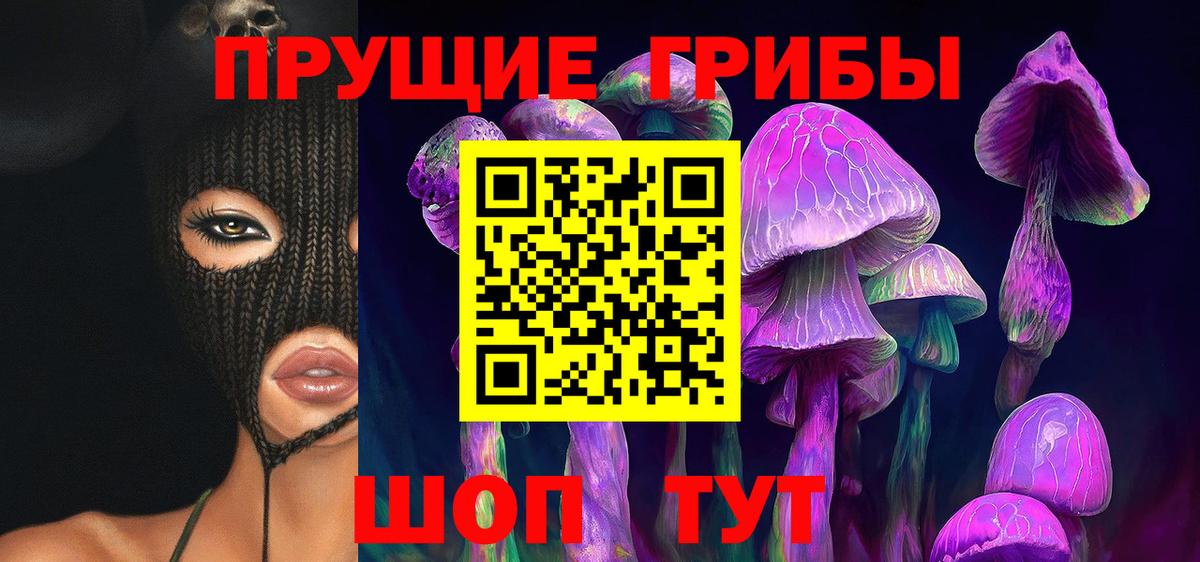 Галлюциногенные грибы MAGIC MUSHROOMS  Вход с VPN  Сухой Лог 